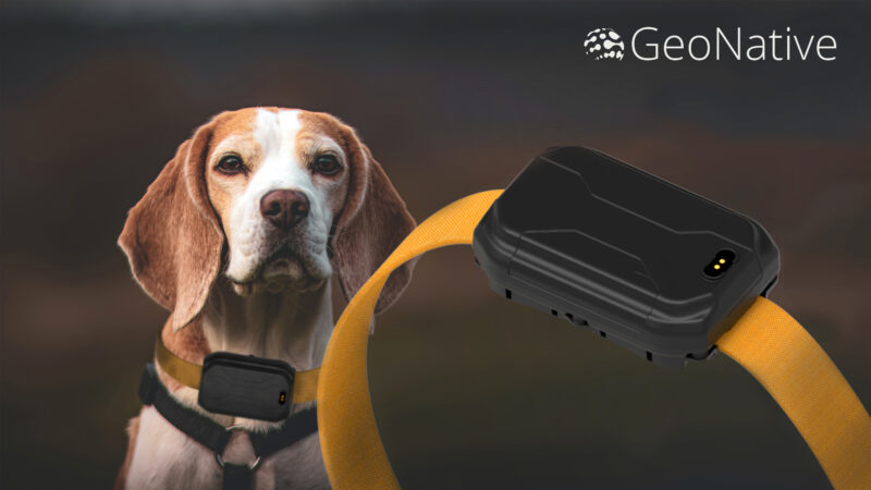 Geonimo, le boitier GPS étanche pour chien