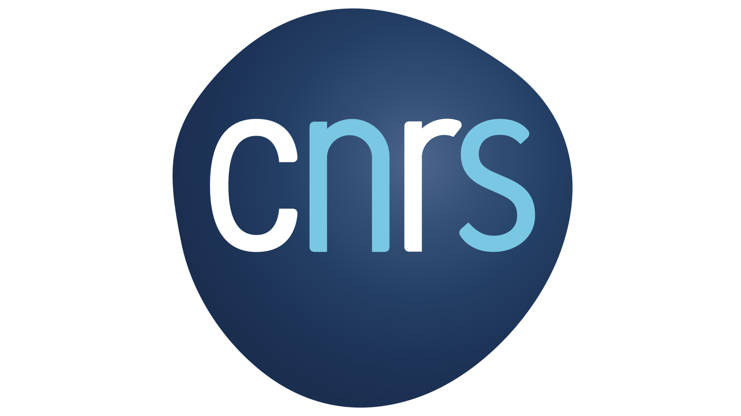 Logo CNRS